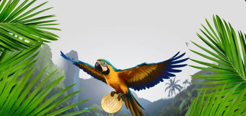 Concurso Demo Carnaval dos Traders
